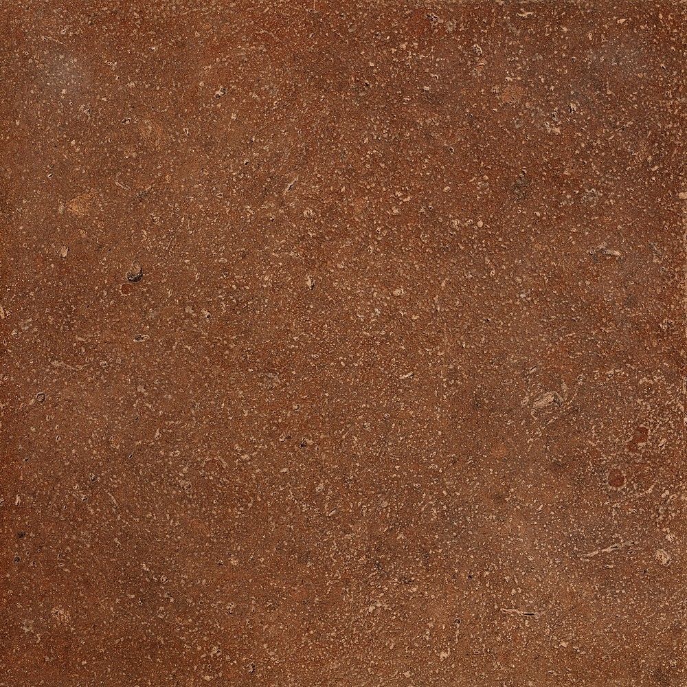 Siena 20x20